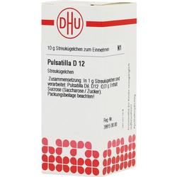 Eine Schachtel homöopathischer Streukügelchen Pulsatilla D 12 von DHU.